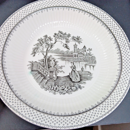 Minuet Real English Ironstone Wm Adams & Sons Micratex 8" Bowls UK Set of 7