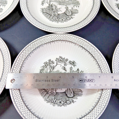 Minuet Real English Ironstone Wm Adams & Sons Micratex 8" Bowls UK Set of 7