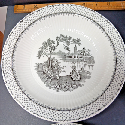 Minuet Real English Ironstone Wm Adams & Sons Micratex 8" Bowls UK Set of 7